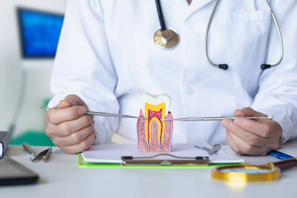 Best After-Hours Emergency Dentist in Westwood, KS